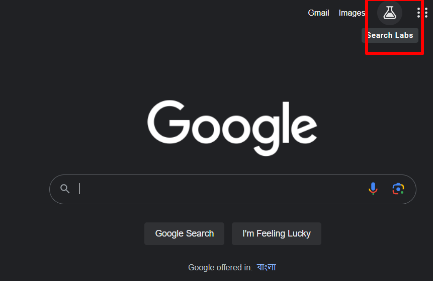Search lab on google search